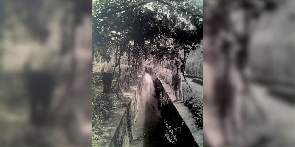 Córrego do Relógio era cercado por videiras da família de Antônio Martins