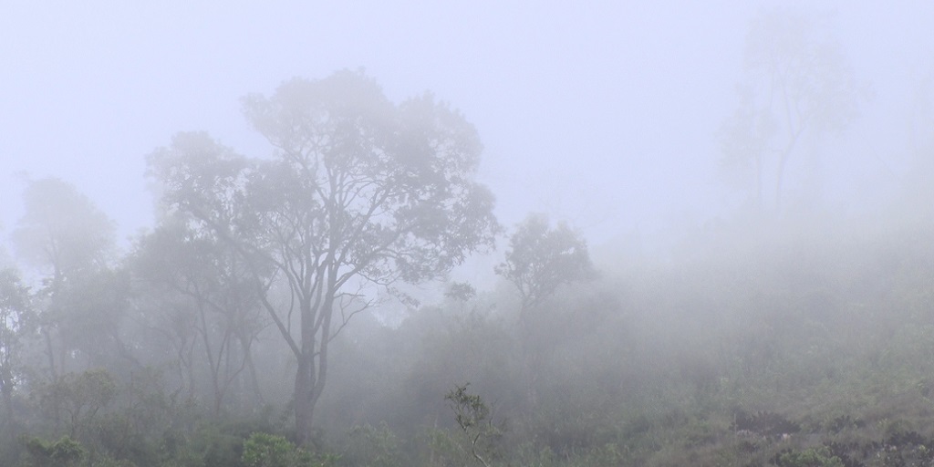 Nova Friburgo registra oficialmente a menor temperatura do ano nesta terça, 26
