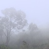 Nova Friburgo registra oficialmente a menor temperatura do ano nesta terça, 26
