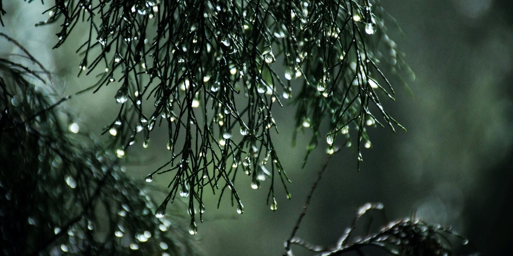 Fim de semana de temperaturas amenas e chuva na Região Serrana do Rio, segundo os institutos meteorológicos