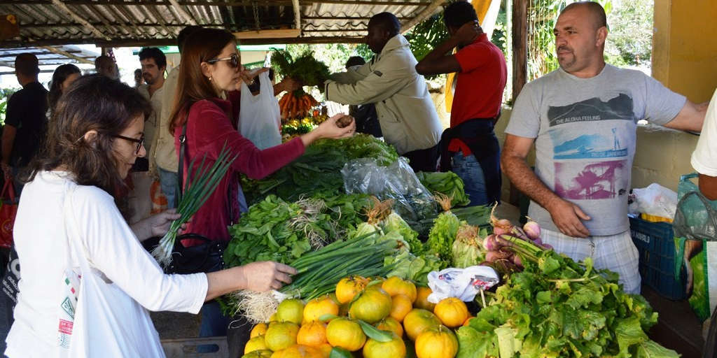 Confira dicas de feirinhas de diversos estilos para visitar em Teresópolis