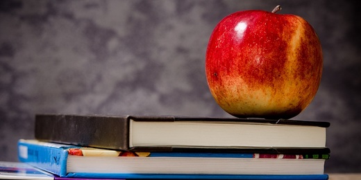 Veja os cuidados que se deve ter na hora de matricular seu filho na escola