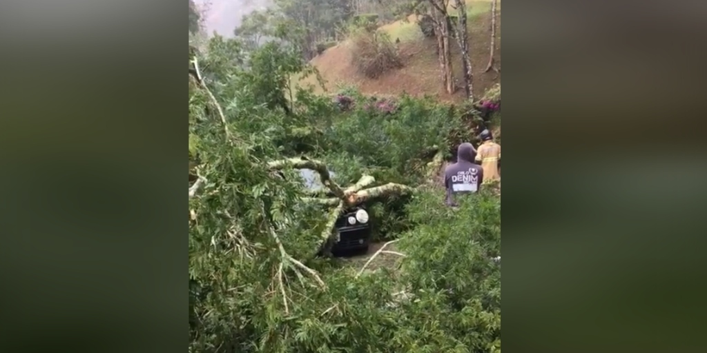 Árvore caiu em cima de um veículo no Jardim Serrano 