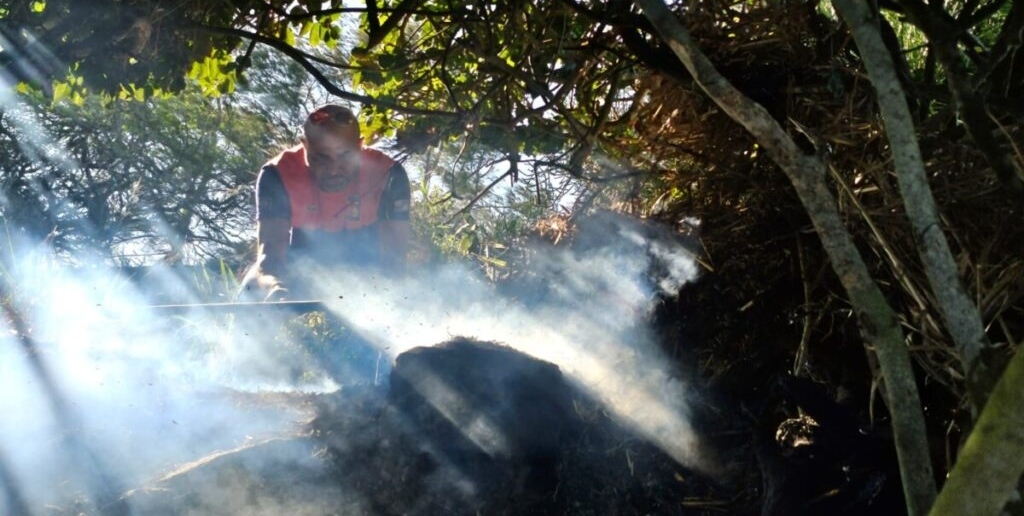 Defesa Civil de Cabo Frio alerta sobre riscos de incêndios após registrar 5 focos em apenas 24h