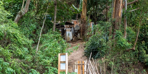 Construções irregulares, desmatamento, falta de infraestrutura e fiscalização revelam problemas graves em via de Friburgo