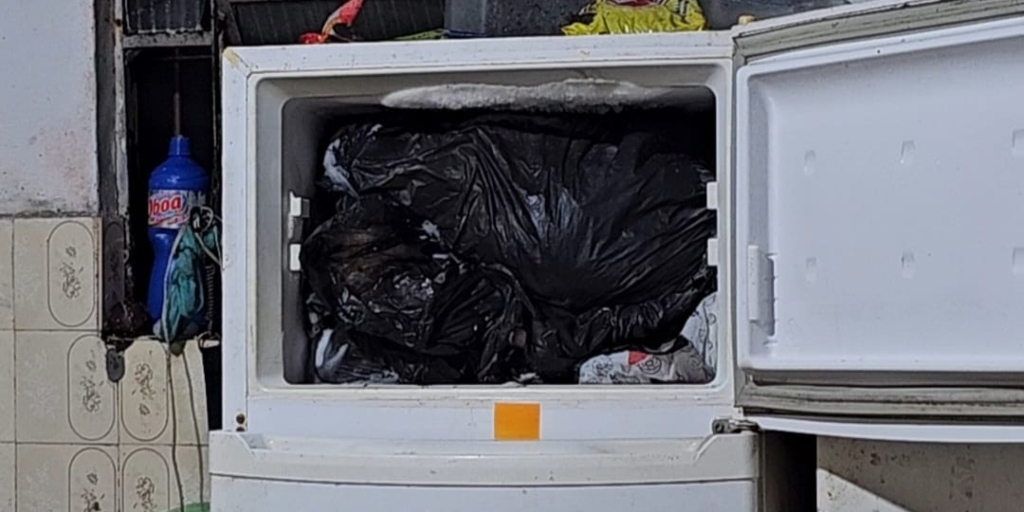 Corpos de cachorros adultos e filhotes foram encontrados no refrigerador, acondicionados em sacos pretos