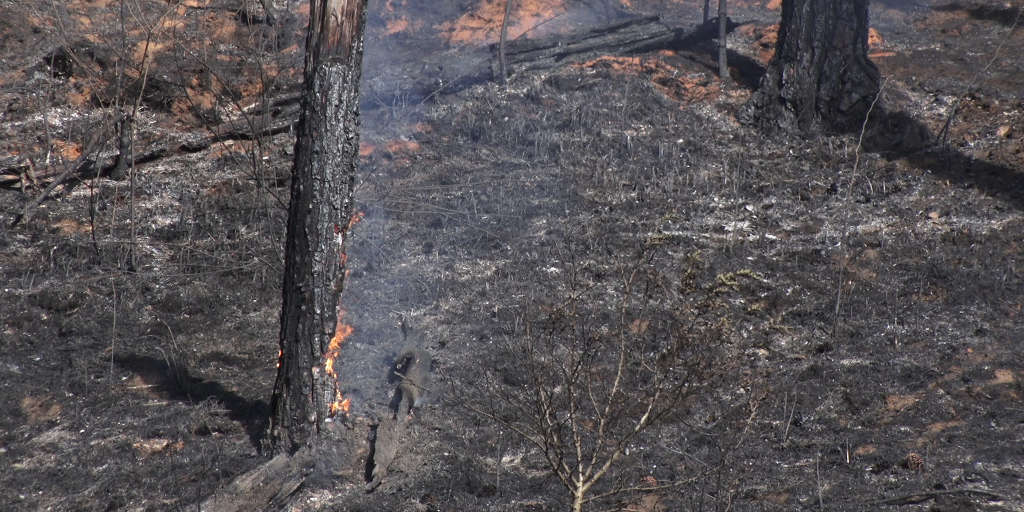 Grupo de bombeiros que iria atuar na Amazônia vai reforçar operações na Região Serrana
