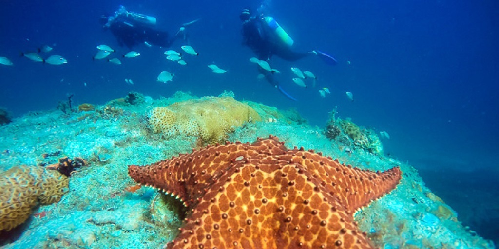 Mergulho em Angra dos Reis 