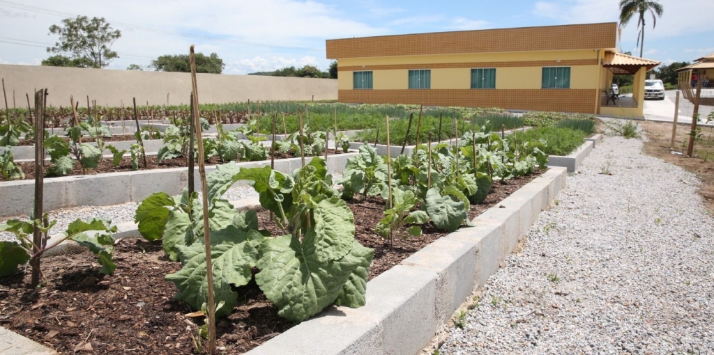 Local reservado para plantação já está pronto