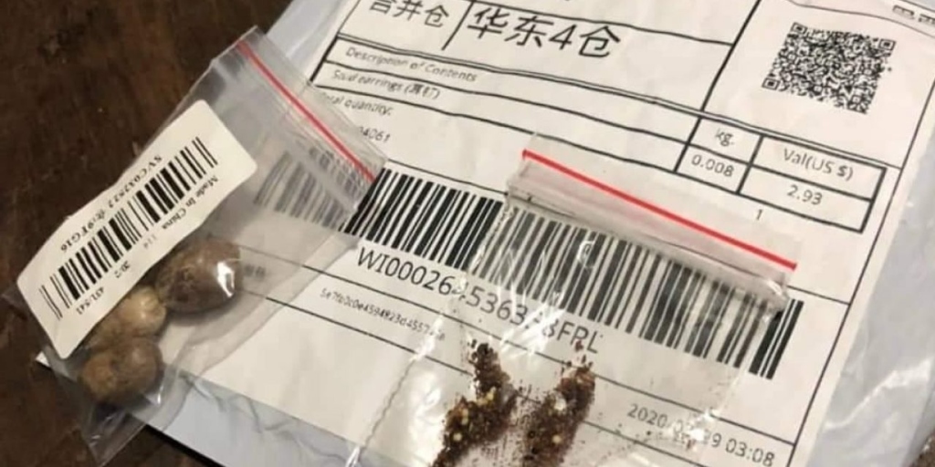 Encomendas misteriosas: Governo do Rio faz alerta para pacotes com sementes vindas da China
