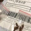 Encomendas misteriosas: Governo do Rio faz alerta para pacotes com sementes vindas da China