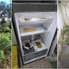 Uma das maiores plantações de maconha da história de Friburgo é descoberta em Galdinópolis; assista vídeo do delegado