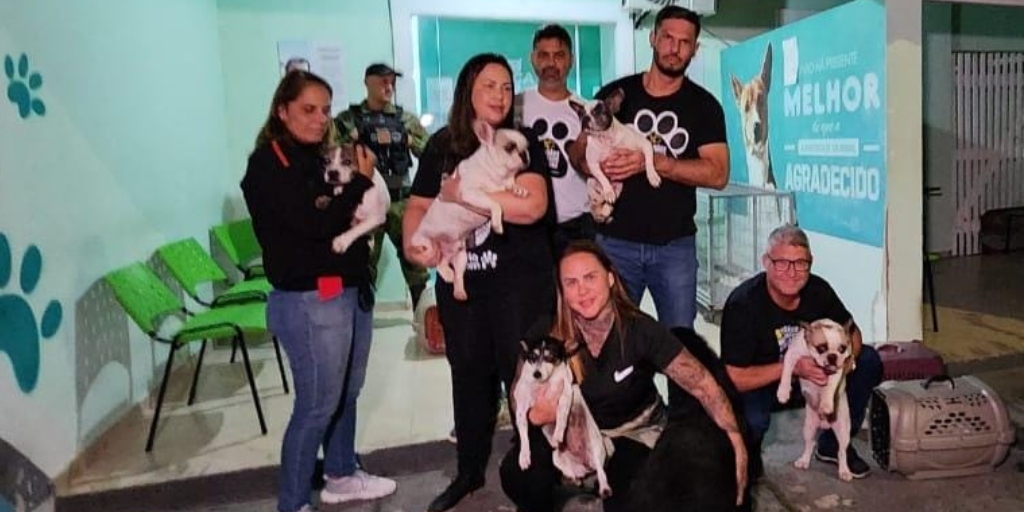 ONG Eu sou testemunha de Golias, do Rio de Janeiro, se comprometeu a assumir a guarda dos bichinhos