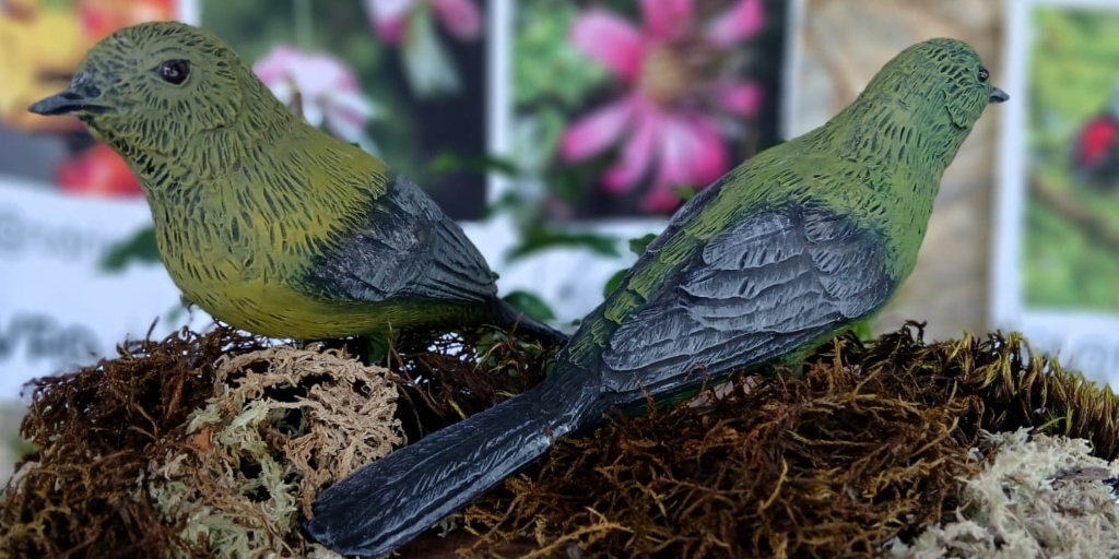 Duas réplicas em resina da Saudade-de-asa-cinza foram produzidas para a campanha