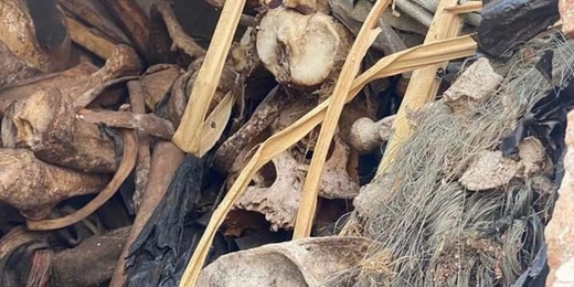 Exposição inadequada de restos mortais: Polícia Ambiental encontra irregularidades em cemitério de Teresópolis