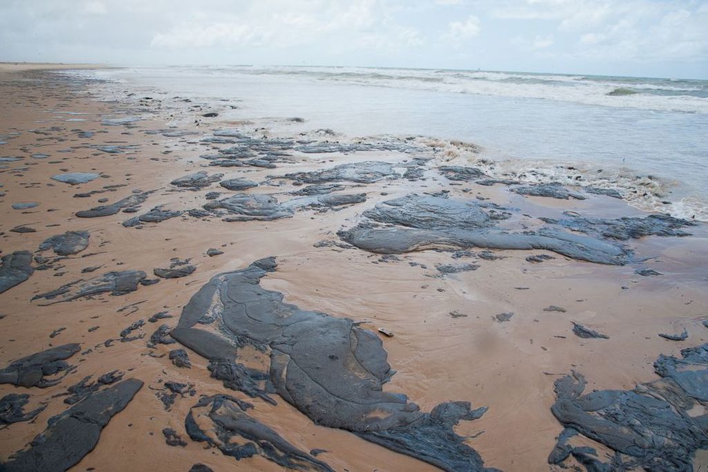 Diversas manchas de petróleo espalhadas por praia do Nordeste do Brasil