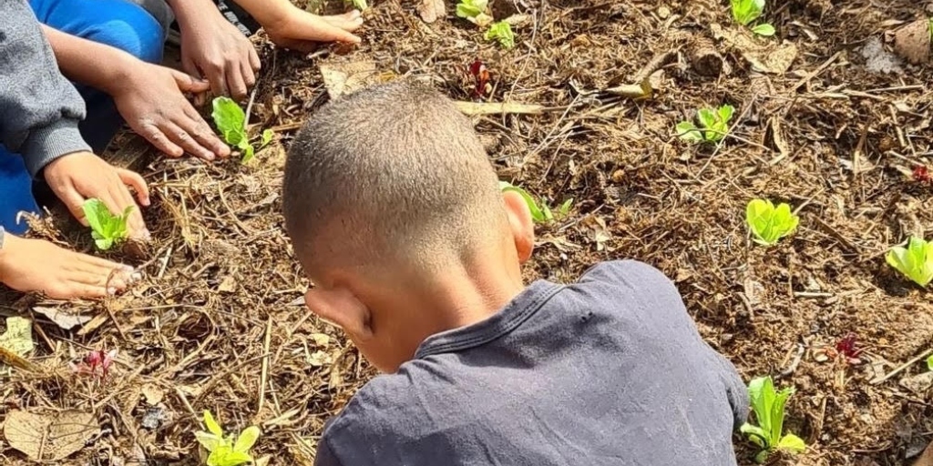 Crianças e jovens aprendem sobre agroecologia e plantios orgânicos