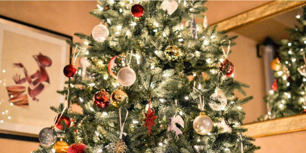 Já é Natal! Você sabe quando a árvore natalina deve ser montada? | Portal  Multiplix