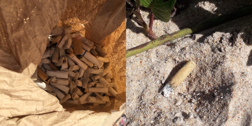 Mais de 20 mil guimbas de cigarro são coletadas em 10 meses na Praia do Peró, em Cabo Frio