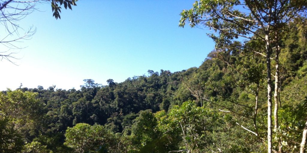 Mais cinco reservas naturais são reconhecidas pelo Inea em Friburgo e Madalena