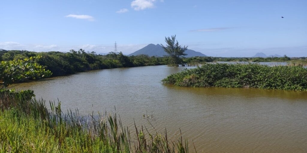 Cidade tem grandes áreas de manguezal 