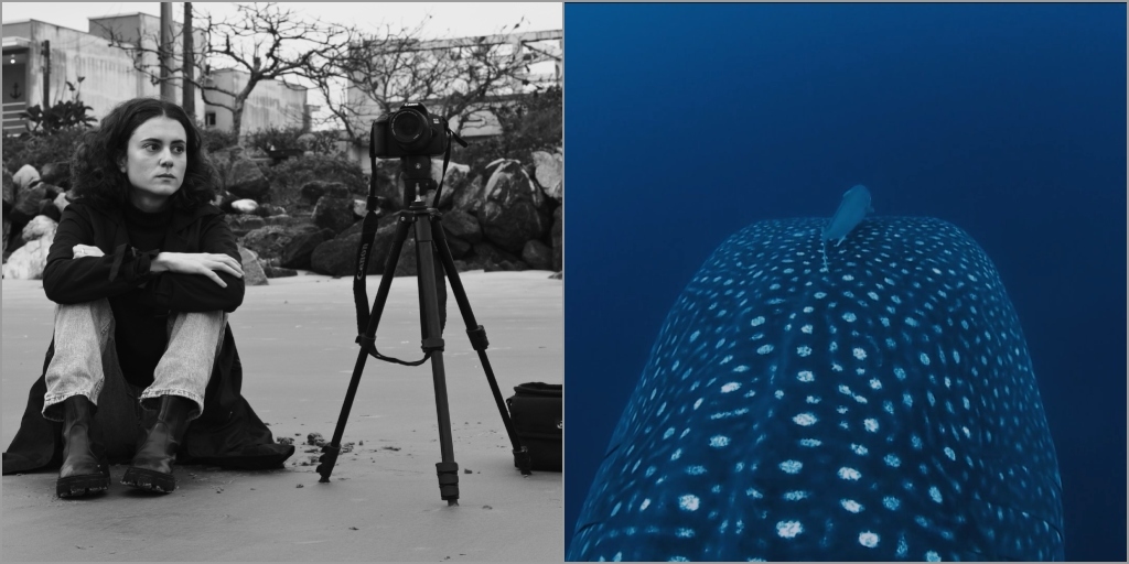 Filmes 'Amálgama' e 'Amazônia Azul' estão entre os que serão exibidos no festival