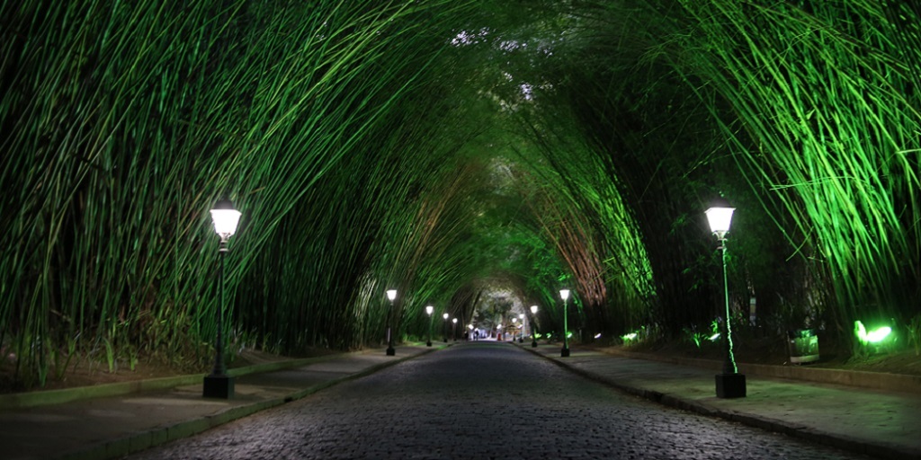 Entrada do Nova Friburgo Country Club encanta pelo bambuzal iluminado