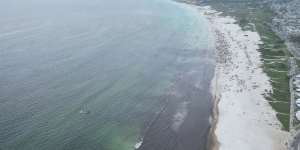 Expostas ao sol, as plantas entram em rápida decomposição, liberando um cheiro desagradável 