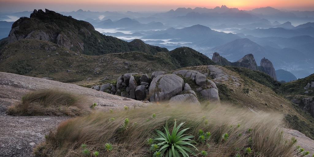 Peste bubônica: é verdade que a Serra dos Órgãos é foco natural da bactéria que causa a doença?