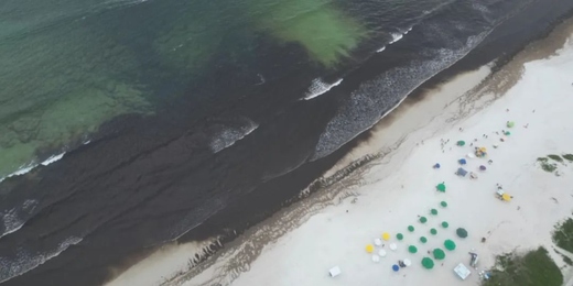 Bióloga explica fenômeno das algas marinhas que tomaram conta da Praia do Forte, em Cabo Frio