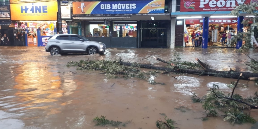 Temporal causa alagamentos, buraco, deslizamento de barreira e quedas de árvores em Friburgo 