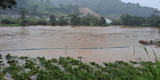 Produtores rurais de Friburgo têm prejuízo de mais de R$ 3 milhões com chuvas dos últimos dias