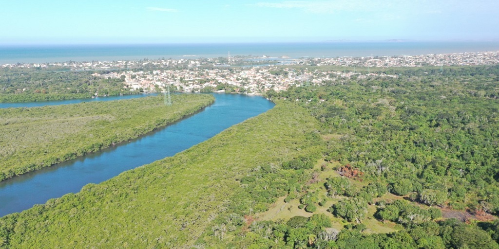 MP e Prefeitura de Cabo Frio querem fim de ocupações irregulares no Parque do Mico-Leão-Dourado