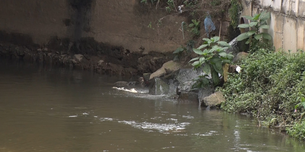 Prefeitura de Teresópolis publica edital para concessão do serviço de água e esgoto