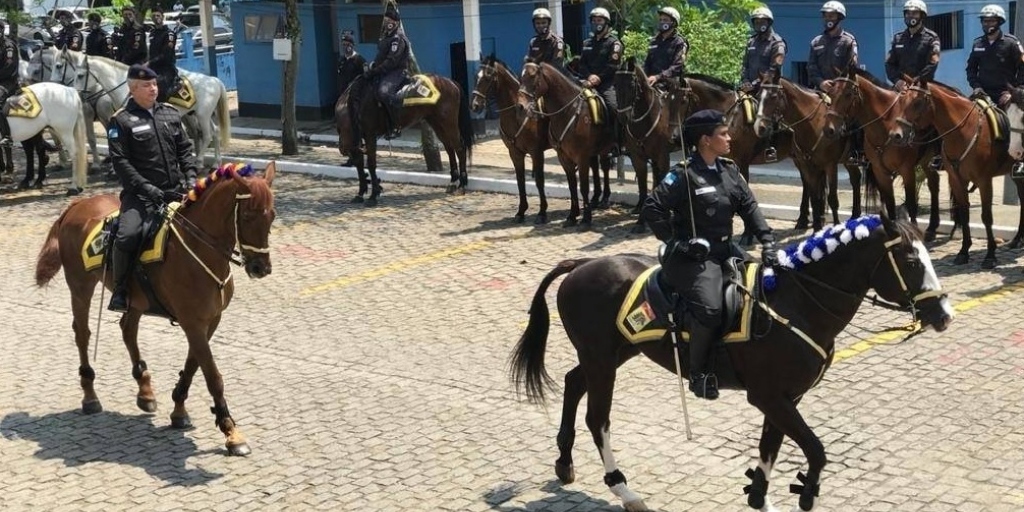 A Ten. Cel. Danielle Ezequiel também comandou o Regime de Polícia Montada