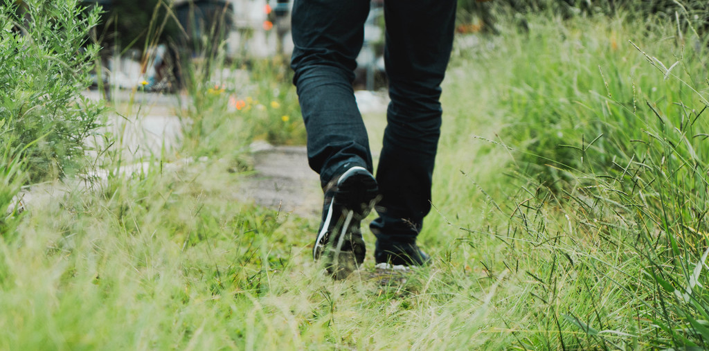 Serviços de capina e roçada também estão inseridos no contrato e são alvos de questionamentos