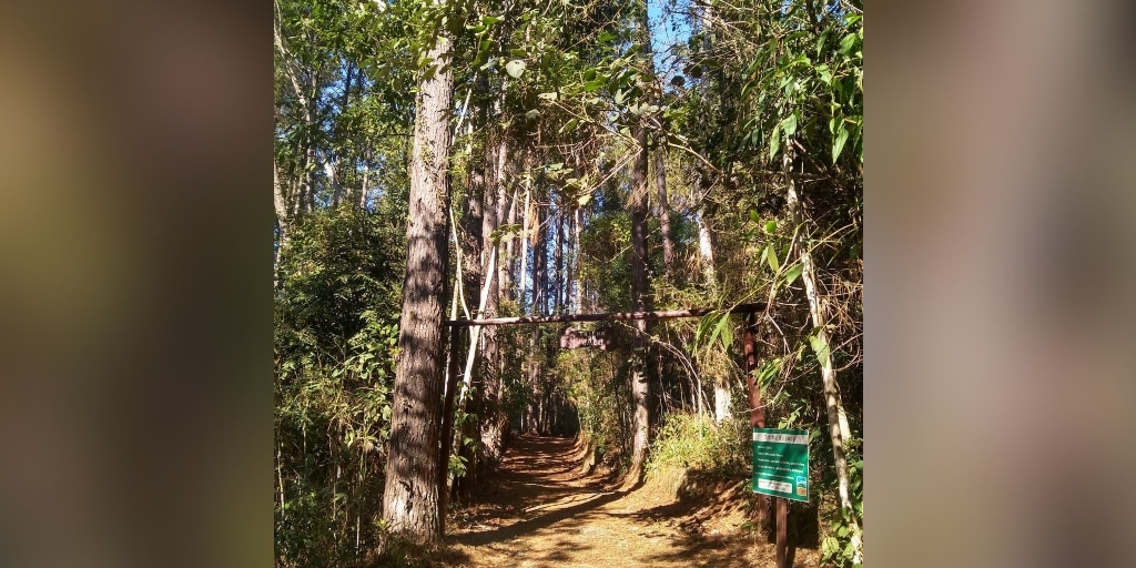 Teresópolis: Parque Natural Municipal reabre para o público