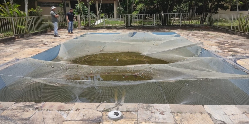 Cabo Frio ganha projeto ambiental para preservação de jacarés; veja como vai funcionar
