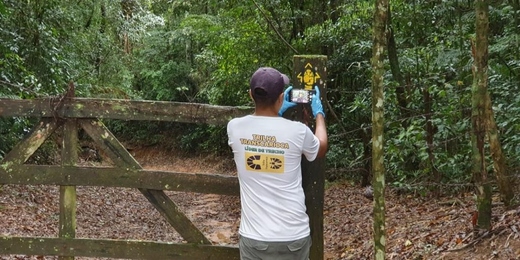 Placas que imitam pegadas são instaladas para sinalizar trilha do Parque Estadual dos Três Picos