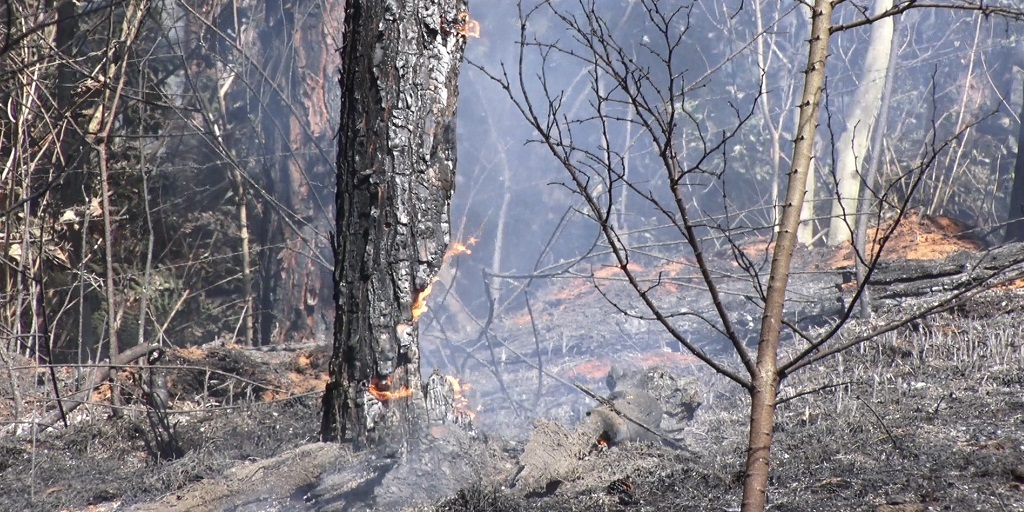 Nova Friburgo registra 46 queimadas em julho
