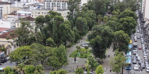 Poda de árvores interdita ruas de Nova Friburgo novamente neste domingo