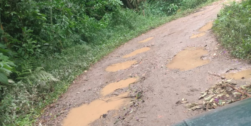 Estrada está cheia de buracos 