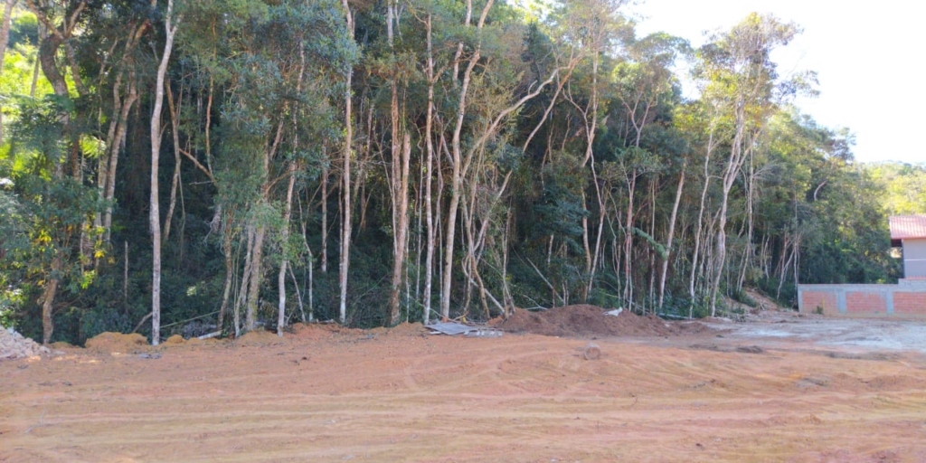 Polícia Ambiental flagra área desmatada em Nova Friburgo