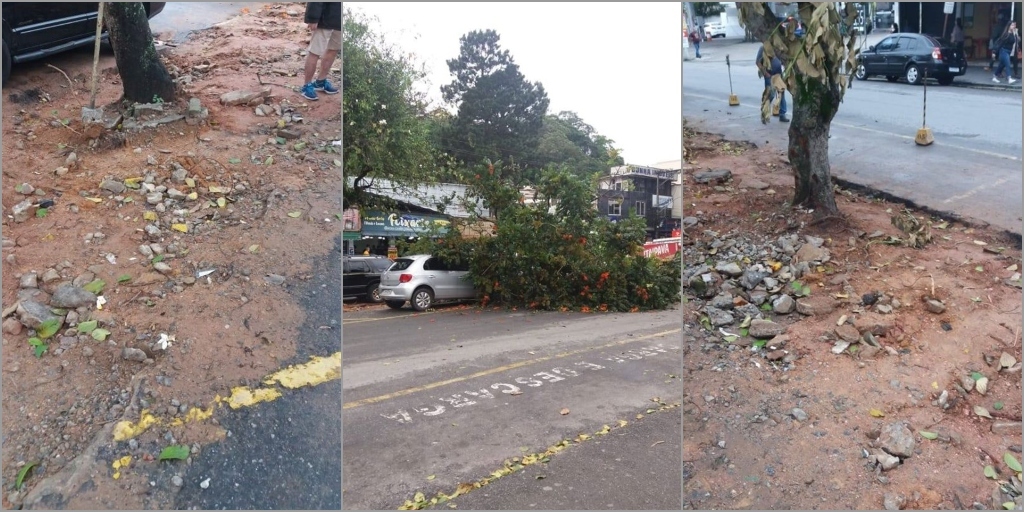 Árvore cai em cima de veículo estacionado, em Teresópolis