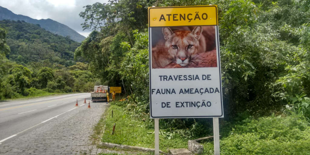 Rodovia RJ-116 ganha placas para alertar motoristas sobre animais silvestres