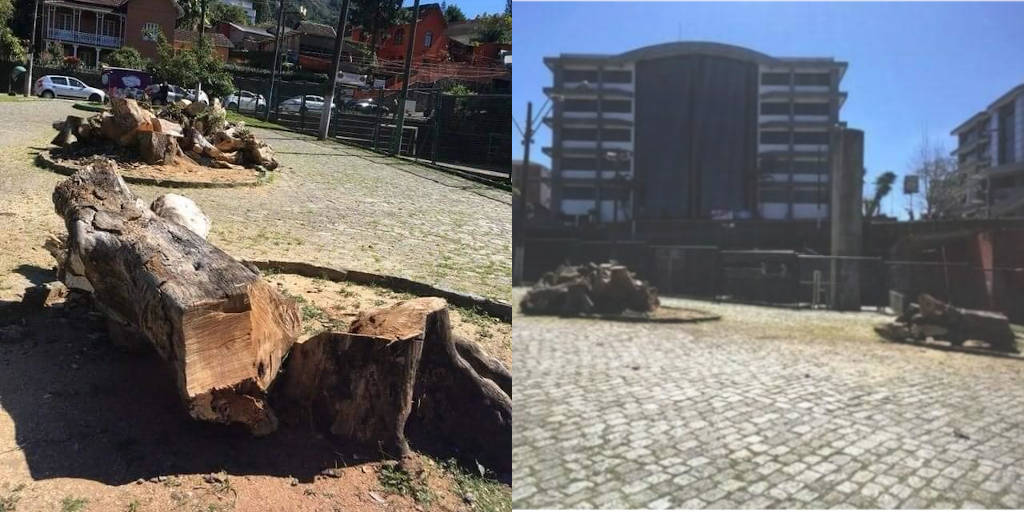 Corte de árvores em praça de Teresópolis causa polêmica