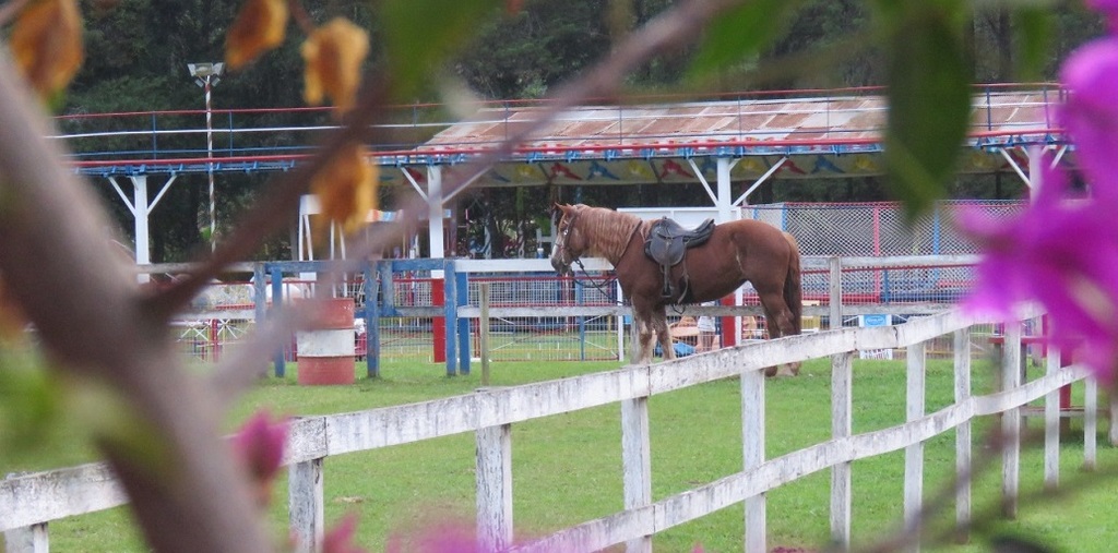 Andar a cavalo está entre as atividades possíveis para quem busca day use em Bom Jardim