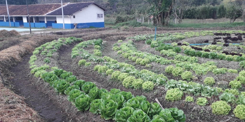 Filhos de agricultores da região também trabalham com a terra na escola rural