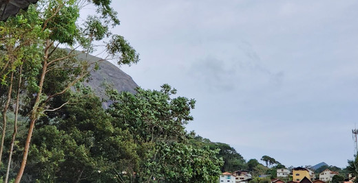 Defesa Civil de Nova Friburgo alerta para ventos fortes a muito fortes