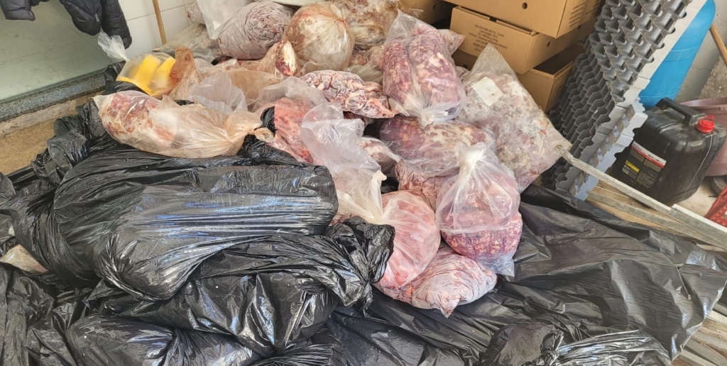 Mais de 600 kg de carne imprópria e arma são apreendidos em frigorífico de Nova Friburgo